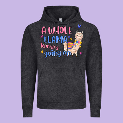 Vintage Hoodie a whole llama learning going on