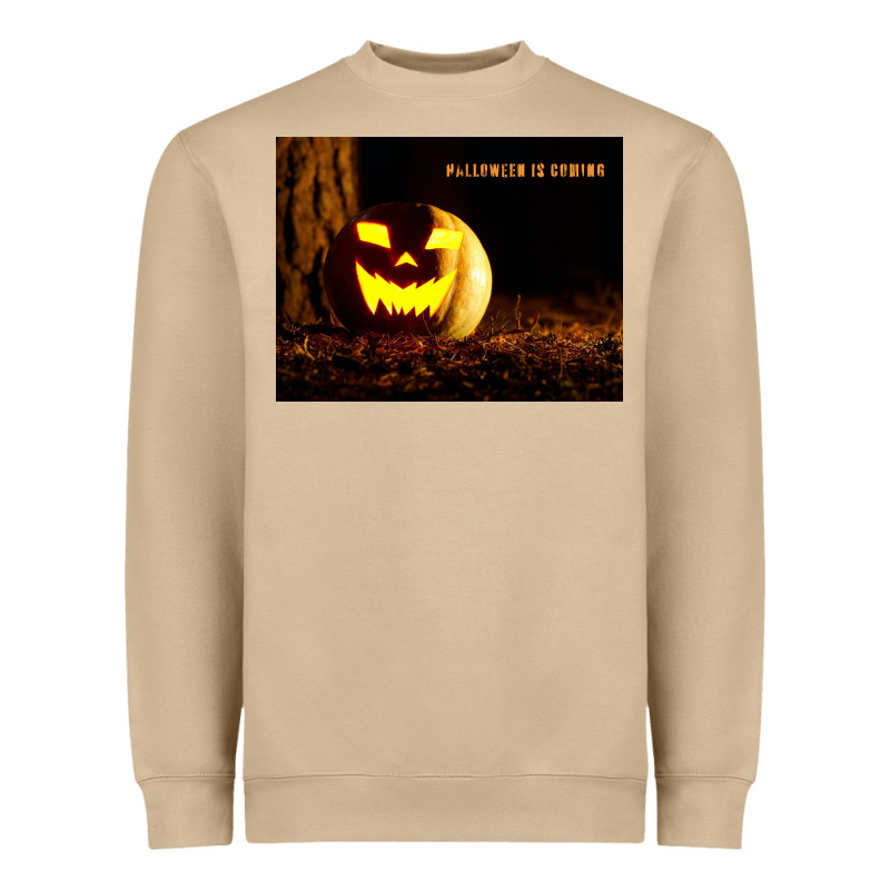Halloween Is Coming Heavyweight Sweatshirt by Unal Design | Teevron