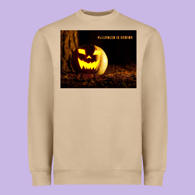 Heavyweight Sweatshirt Halloween Is Coming
