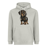 Moon Dust dachshund Heavyweight Hoodie - BarkalooDesign