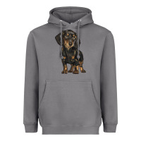 Storm dachshund Heavyweight Hoodie - BarkalooDesign