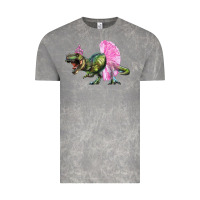Cloud Rock Balerina T-Rex Dinosaur With Tutu Vintage Tee - RanaPortraitStore