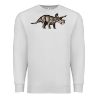 Dove Grey Triceratops Horridus Premium Sweatshirt - LillyAllenDesigns
