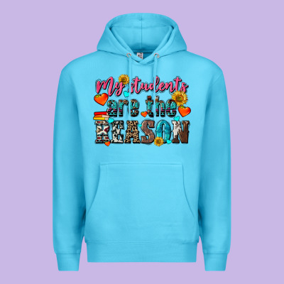 My Students Are The Reason Premium Hoodie Designed By Nancycooperartshop