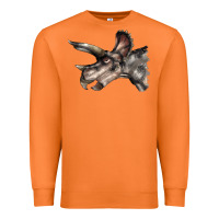 Carrot Triceratops Horridus Face Premium Sweatshirt - LillyAllenDesigns