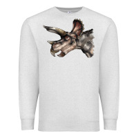 Oatmeal Heather Triceratops Horridus Face Premium Sweatshirt - LillyAllenDesigns