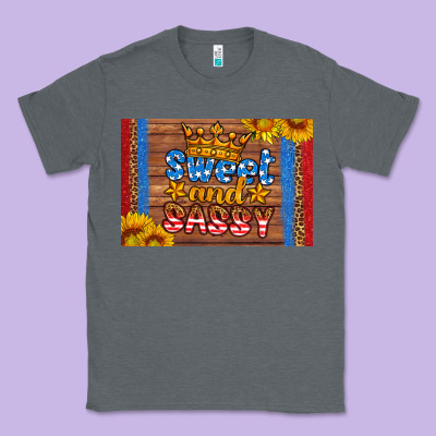 Usa Sweet And Sassy Skinny Metal Can Holder Classic Tee Designed By Hra Design Shop