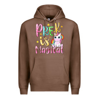 Chestnut pre k is magical Premium Hoodie - NancyCooperArtShop