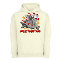 Pigment Pistachio Merry Christmas Tortoise And Koala Urban Hoodie - LillyAllenDesigns