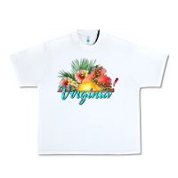 White summer virginia Urban Heavy Tee - texasbilliewilder