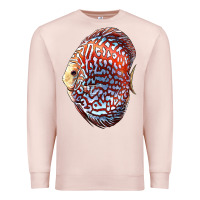Pale Pink Discus Fish Premium Sweatshirt - LillyAllenDesigns