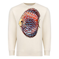 Sandshell Discus Fish Premium Sweatshirt - LillyAllenDesigns