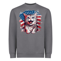 Storm cat2 Heavyweight Sweatshirt - Unal Design