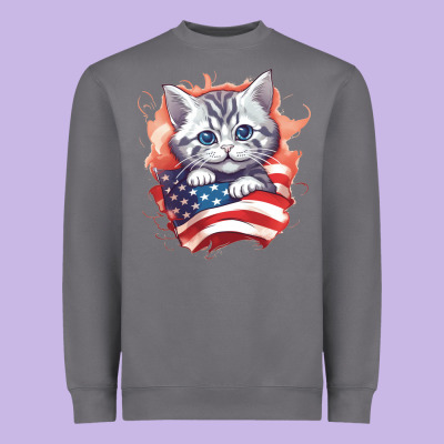 Heavyweight Sweatshirt cat6
