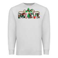 Dove Grey believe santa claus christmas Premium Sweatshirt - Jasminsmagicworld