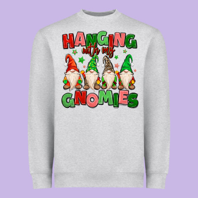 Heavyweight Sweatshirt hanging with my gnomies