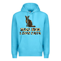 Ocean Blue Real Men Love Cats Premium Hoodie - Bettercallsaul