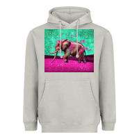 Colorful Elephant Heavyweight Hoodie | Teevron