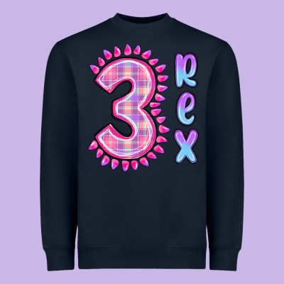 Heavyweight Sweatshirt 3 rex pink dinosaur