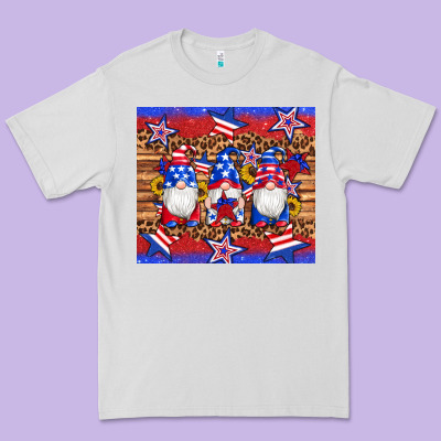 American Flag Gnomes Star Leopard Glitter Tumbler Premium Tee Designed By Artiststas