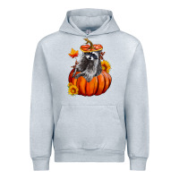 Heather Grey Fall Pumpkin Raccoon Urban Hoodie - LillyAllenDesigns
