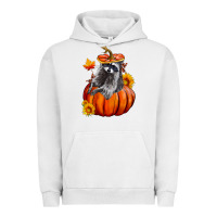 Pigment Lunar Rock Fall Pumpkin Raccoon Urban Hoodie - LillyAllenDesigns