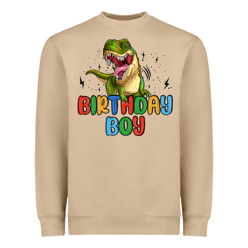 Birthday Boy Heavyweight Sweatshirt by MaliasSmallBusiness | Teevron