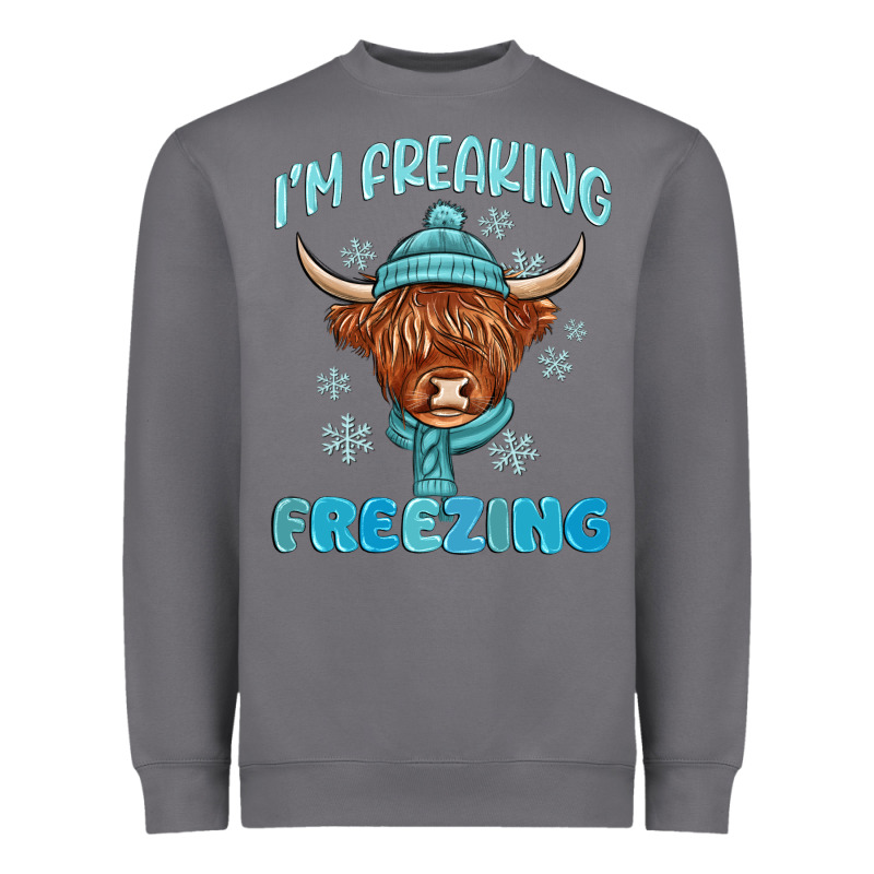 I'm Freaking Freezing Heavyweight Sweatshirt by MaliasSmallBusiness | Teevron