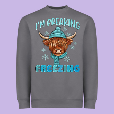 Heavyweight Sweatshirt i'm freaking freezing