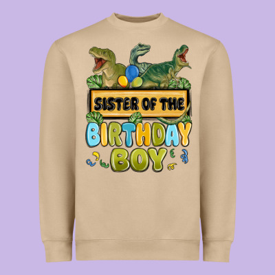 Heavyweight Sweatshirt sister of the birthday boy