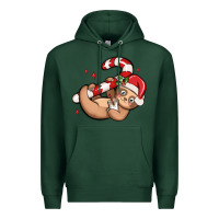 Sports Green cute christmas sloth Premium Hoodie - MaliasSmallBusiness