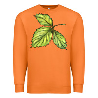 Carrot green leaf Premium Sweatshirt - BarkalooDesign
