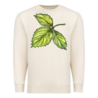 Sandshell green leaf Premium Sweatshirt - BarkalooDesign