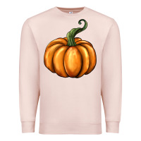 Pale Pink pumpkin Premium Sweatshirt - BarkalooDesign