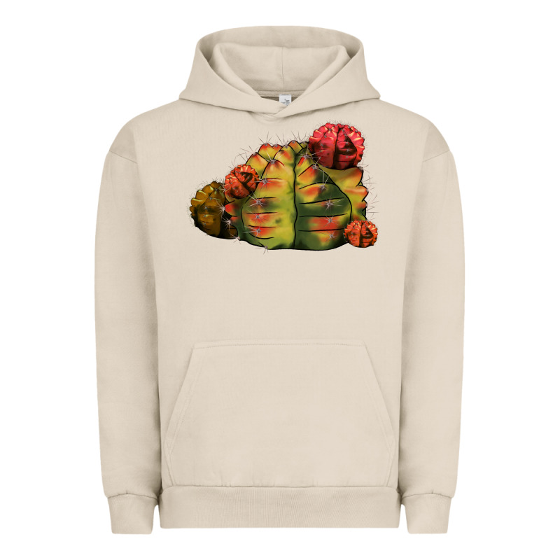 Gymnocalycium Variegated Cactus Urban Hoodie by LillyAllenDesigns | Teevron