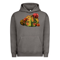 Pigment Tornado Gymnocalycium Variegated Cactus Urban Hoodie - LillyAllenDesigns