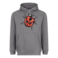 Storm ladybug Heavyweight Hoodie - BarkalooDesign