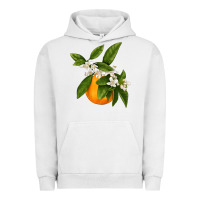 Pigment Lunar Rock Tangerine Urban Hoodie - LillyAllenDesigns