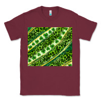 Burgundy St. Patrick's Day leopard tumbler Classic Tee - Neo Western