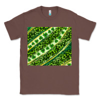 Chestnut St. Patrick's Day leopard tumbler Classic Tee - Neo Western