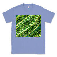 Colony Blue St. Patrick's Day leopard tumbler Classic Tee - Neo Western