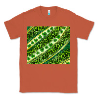 Copper St. Patrick's Day leopard tumbler Classic Tee - Neo Western