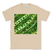 Mushroom St. Patrick's Day leopard tumbler Classic Tee - Neo Western