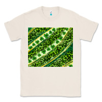 Natural St. Patrick's Day leopard tumbler Classic Tee - Neo Western