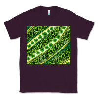 Plum St. Patrick's Day leopard tumbler Classic Tee - Neo Western