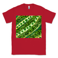 Red St. Patrick's Day leopard tumbler Classic Tee - Neo Western