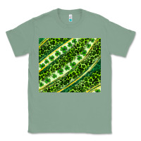 Sage St. Patrick's Day leopard tumbler Classic Tee - Neo Western