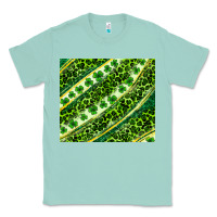 Seafoam St. Patrick's Day leopard tumbler Classic Tee - Neo Western