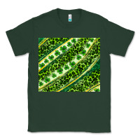 Sports Green St. Patrick's Day leopard tumbler Classic Tee - Neo Western