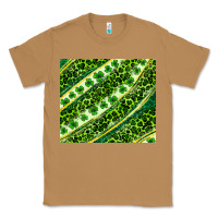 Toasted Coconut St. Patrick's Day leopard tumbler Classic Tee - Neo Western